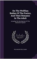 On The Wolffian Bodies Of The Foetus, And Their Remains In The Adult: Including The Development Of The Generative System