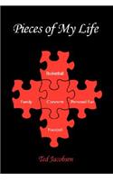 Pieces of My Life: (English)