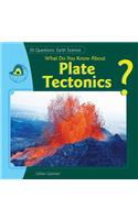 What Do You Know about Plate Tectonics?: (20 Questions: Earth Science)