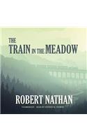 The Train in the Meadow