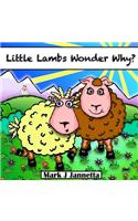 Little Lambs Wonder Why?