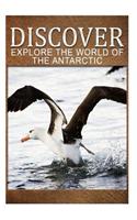 Explore The World Of The Antarctic - Discover