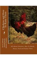 Chickens and How To Raise Them