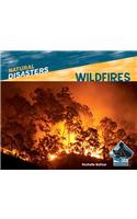 Wildfires