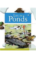 Life in Ponds