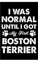 I Was Normal Until I Got My First Boston terrier