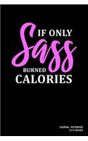 If Only Sass Burned Calories: Notebook, Journal, Or Diary - 110 Blank Lined Pages - 6" X 9" - Matte Finished Soft Cover