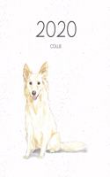 2020 Collie: Dated Weekly Planner With To Do Notes & Dog Quotes - White Collie