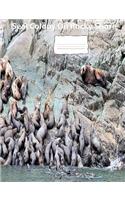 Seal Colony On Rocky shore collegeruledlinepaper Composition Book: Seal fans, composition book to keep notes, school suppies, journal used for notes, student and teacher use