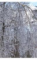 2019 Daily Planner Winter Scenic Forest Ice Storm 384 Pages