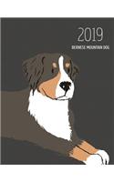 2019 Bernese Mountain Dog: Dated Weekly Planner with to Do Notes & Dog Quotes - Bernese Mountain Dog(8 Awesome Calendar Planners for Dog Owners Dark)