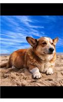 Corgi Notebook: Blank Lined Corgi Dog Journal: Corgi on the Beach