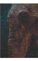 2019 Appointment Calendar: 2019 Daily Planner Goal Planner Elephant Closeup