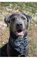 Happy Lab Mix Dog with a Bandana Journal: 150 Page Lined Notebook/Diary