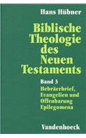 Biblische Theologie Des Neuen Testaments. Band 3