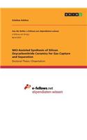 NH3-Assisted Synthesis of Silicon Oxycarbonitride Ceramics for Gas Capture and Separation: (English)