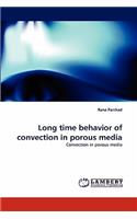 Long Time Behavior of Convection in Porous Media