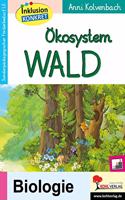 Okosystem Wald