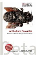 Anthidium Paroselae: (English)