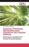 Especies Forestales Apropiadas para Conservar las Fuentes Hídricas