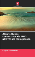 Alguns fluxos convectivos de MHD através do meio poroso
