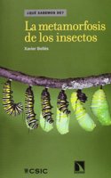 La metamorfosis de los insectos