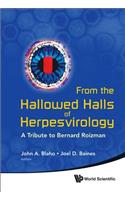 From the Hallowed Halls of Herpesvirology: A Tribute to Bernard Roizman