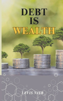 Debt is Wealth