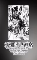 STRANGE FLOWERS The Inflorescence & Efflorescence of Flowers Black White Flower Photography COLLECT DIGITAL ART PRINTS IN A BOOK by Artist Grace Divine