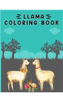 llama coloring book: Beautiful Coloring Book for Llama Lovers