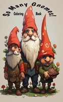 So Many Gnomes!