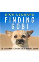 Finding Gobi (Main edition)
