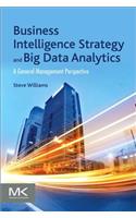 Business Intelligence Strategy and Big Data Analytics