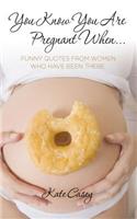 You Know You Are Pregnant When....: Funny Quotes From Women Who Have Been There(English)
