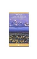 Best of Grand Teton National Park