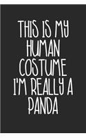 Halloween Notebook - Halloween Gift for Animal Lover - Halloween Panda Journal - Panda Diary