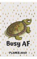 Planer 2020: Busy AF Terminplaner Monatsplaner und Wochenplaner Terminkalender 2020 Meeresschildkröte