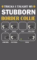 Border Collie Journal