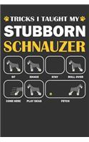 Schnauzer Journal