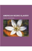 American Negro Slavery