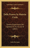 Delle Pruove In Materia Civile