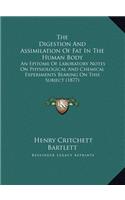 The Digestion And Assimilation Of Fat In The Human Body
