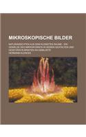 Mikroskopische Bilder; Naturansichten Aus Dem Kleinsten Raume