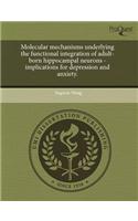 Molecular Mechanisms Underlying the Functional Integration of Adult-Born Hippocampal Neurons - Implications for Depression and Anxiety