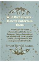 Wild Bird Guests - How to Entertain Them - With Chapters on the Destruction of Birds, Their Economic Values, Suggestions for Dealing with Their Enemies, and on the Organization and Management of Bird Clubs