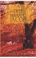 Tree Named Jacob