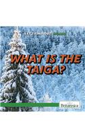 What Is the Taiga?