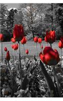 Mind Blowing Red BW Tulips Journal: 150 page lined journal