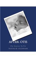 After Otis - Our Journey So Far