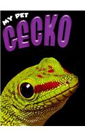 Gecko